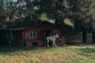 H.H. Dorje Chang Buddha III