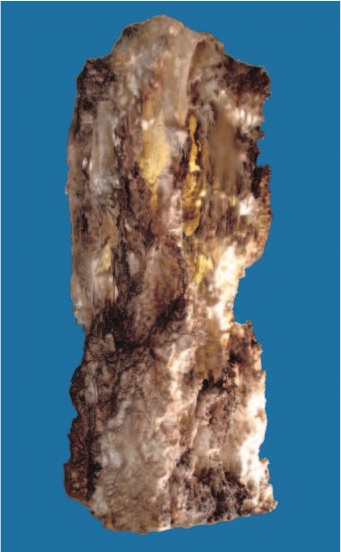 H.H. Dorje Chang Buddha III