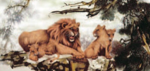 H.H. Dorje Chang Buddha III