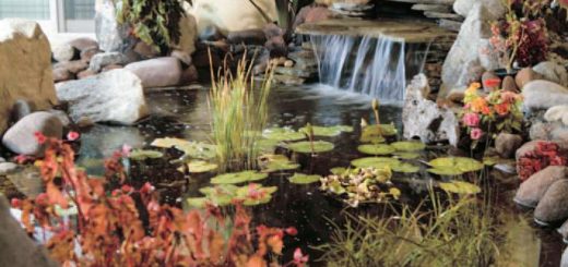 H.H. Dorje Chang Buddha III