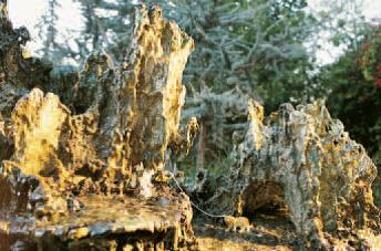 H.H. Dorje Chang Buddha III