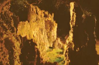 H.H. Dorje Chang Buddha III