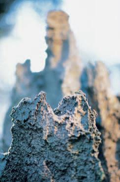 H.H. Dorje Chang Buddha III