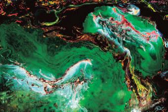 H.H. Dorje Chang Buddha III