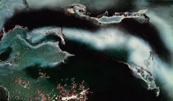 H.H. Dorje Chang Buddha III