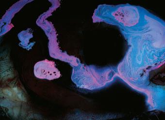 H.H. Dorje Chang Buddha III