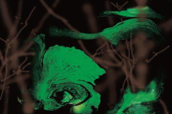 H.H. Dorje Chang Buddha III