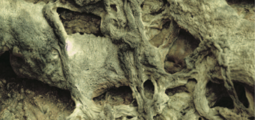 H.H. Dorje Chang Buddha III