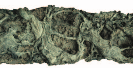 H.H. Dorje Chang Buddha III