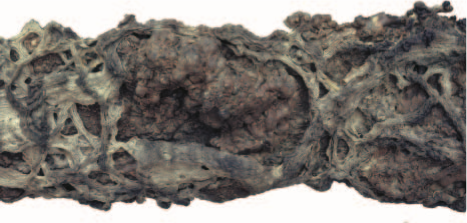 H.H. Dorje Chang Buddha III