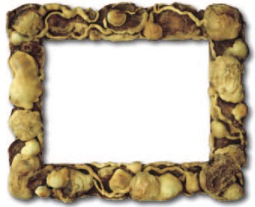 H.H. Dorje Chang Buddha III