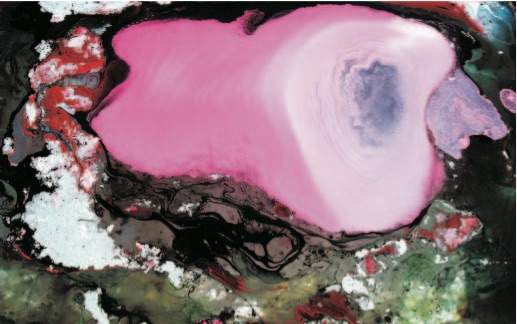 H.H. Dorje Chang Buddha III