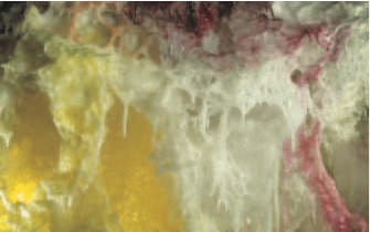 H.H. Dorje Chang Buddha III