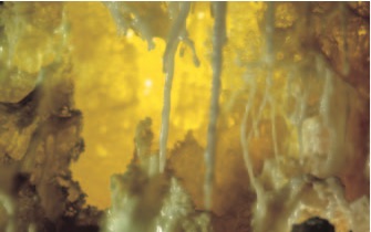 H.H. Dorje Chang Buddha III